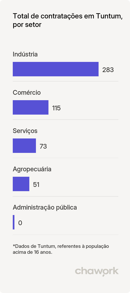Total de contratações por setor em Tuntum, MA