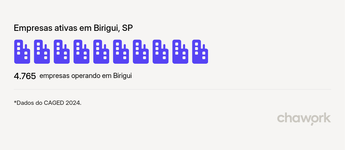 Empresas ativas em Birigui, SP