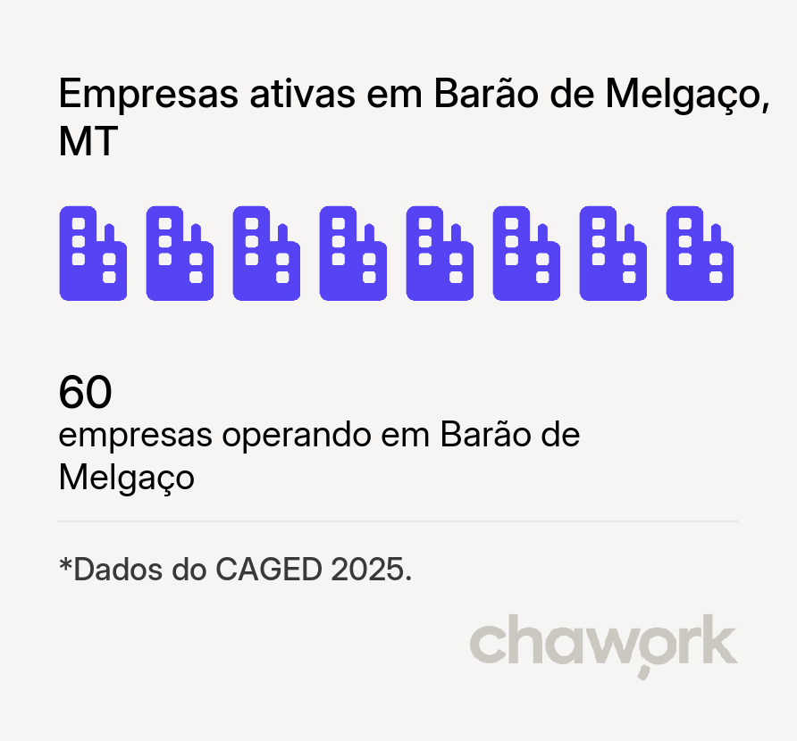 Empresas ativas em Barão de Melgaço, MT