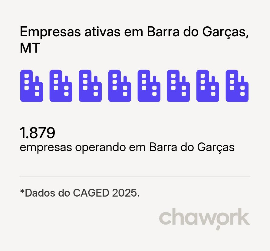 Empresas ativas em Barra do Garças, MT