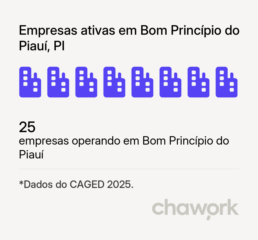 Empresas ativas em Bom Princípio do Piauí, PI