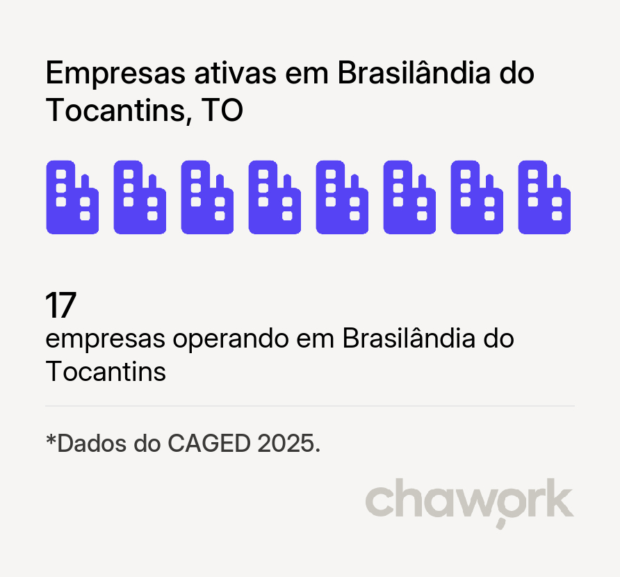 Empresas ativas em Brasilândia do Tocantins, TO
