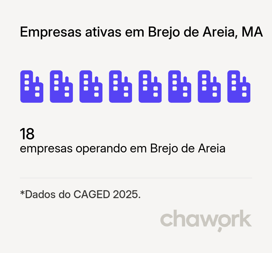 Empresas ativas em Brejo de Areia, MA