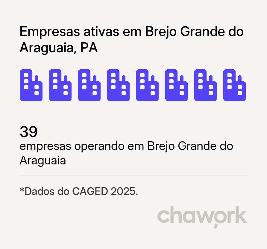 Empresas ativas em Brejo Grande do Araguaia, PA