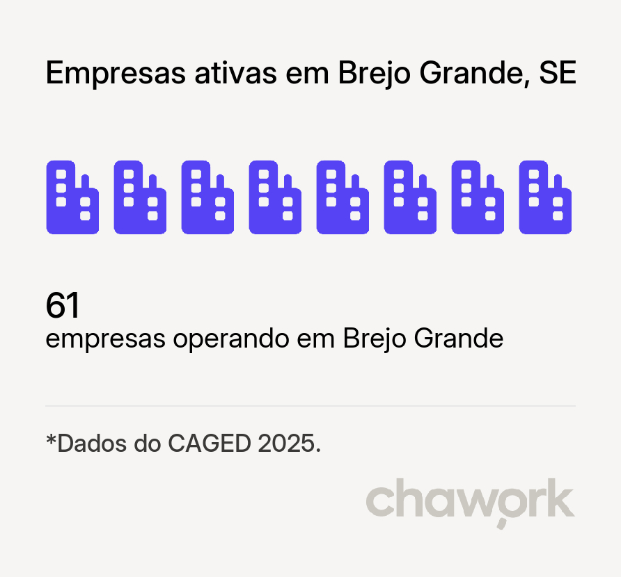 Empresas ativas em Brejo Grande, SE