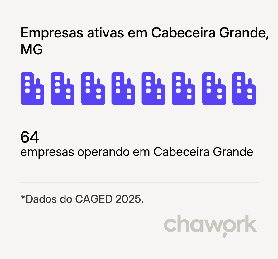 Empresas ativas em Cabeceira Grande, MG