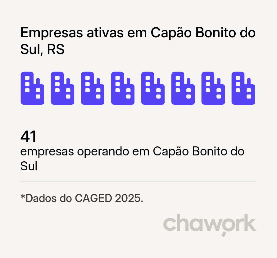 Empresas ativas em Capão Bonito do Sul, RS