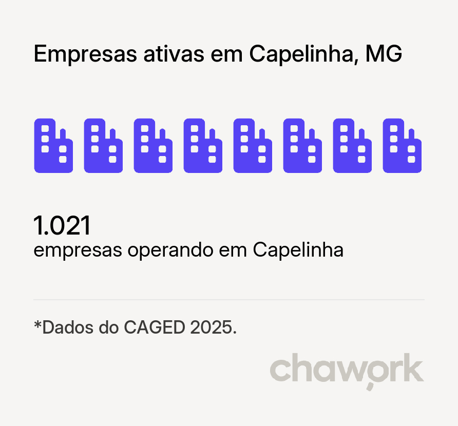 Empresas ativas em Capelinha, MG