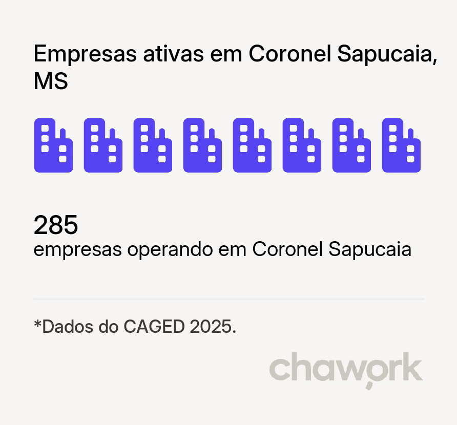 Empresas ativas em Coronel Sapucaia, MS