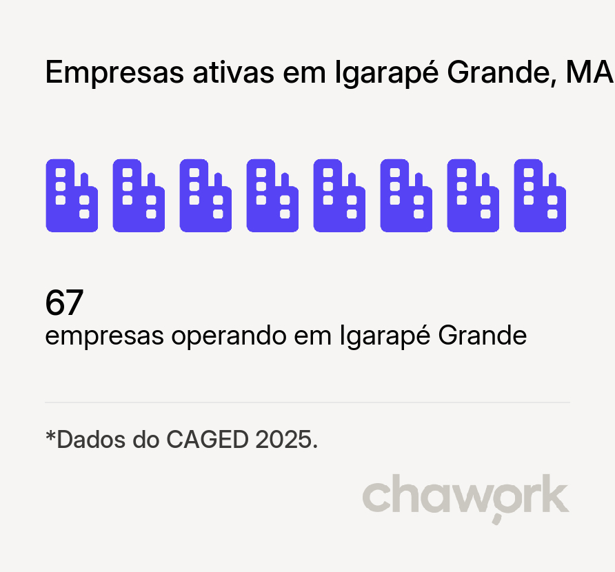 Empresas ativas em Igarapé Grande, MA