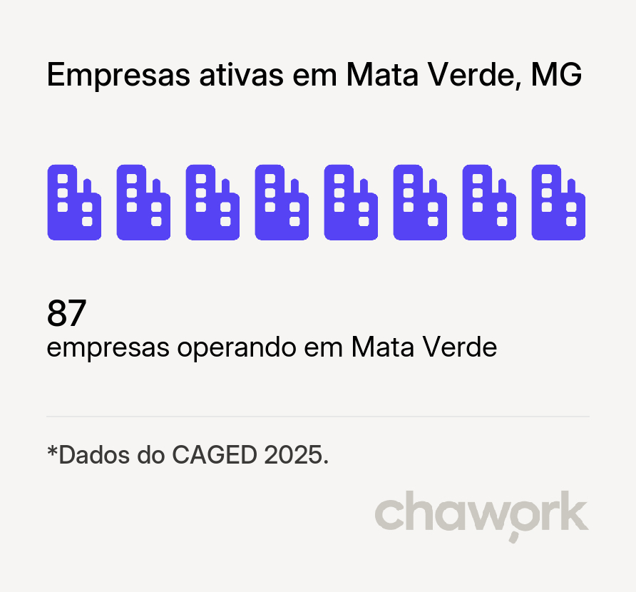 Empresas ativas em Mata Verde, MG