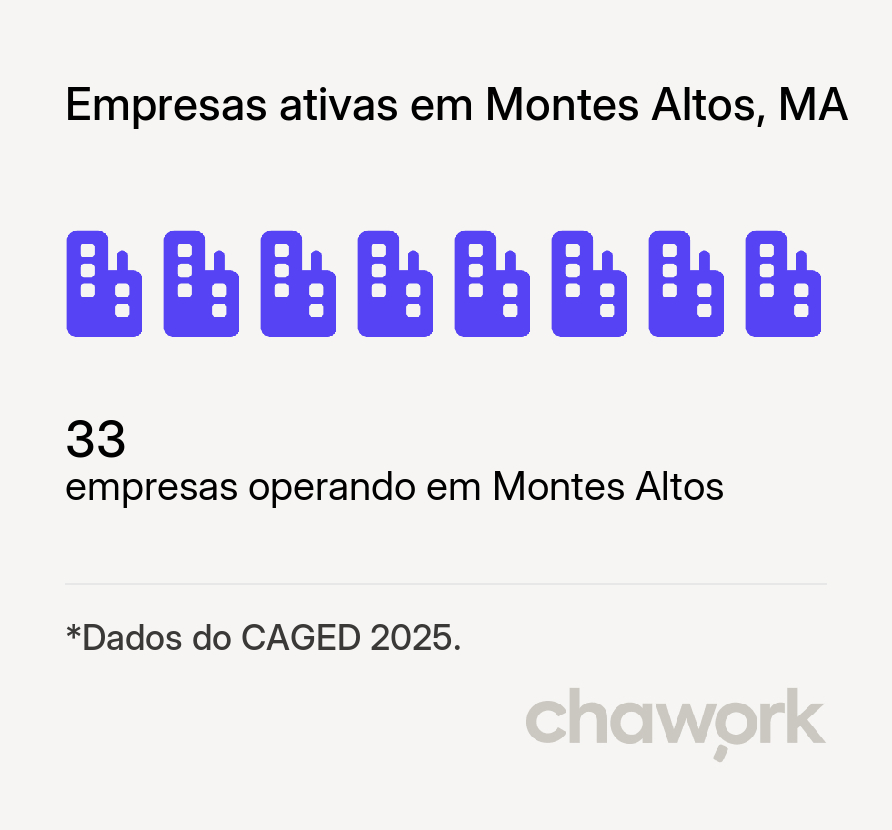 Empresas ativas em Montes Altos, MA