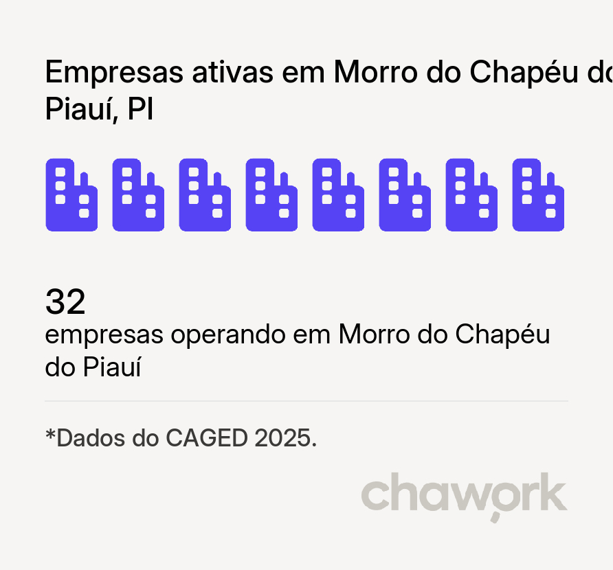 Empresas ativas em Morro do Chapéu do Piauí, PI