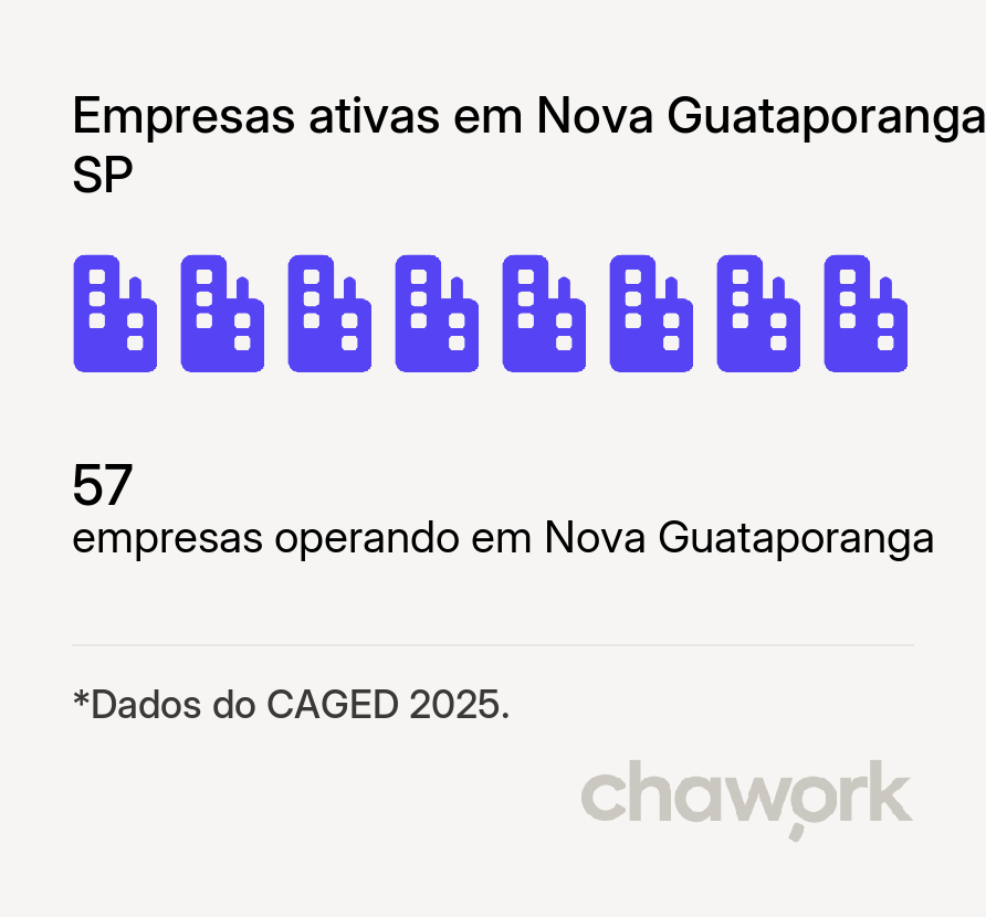 Empresas ativas em Nova Guataporanga, SP