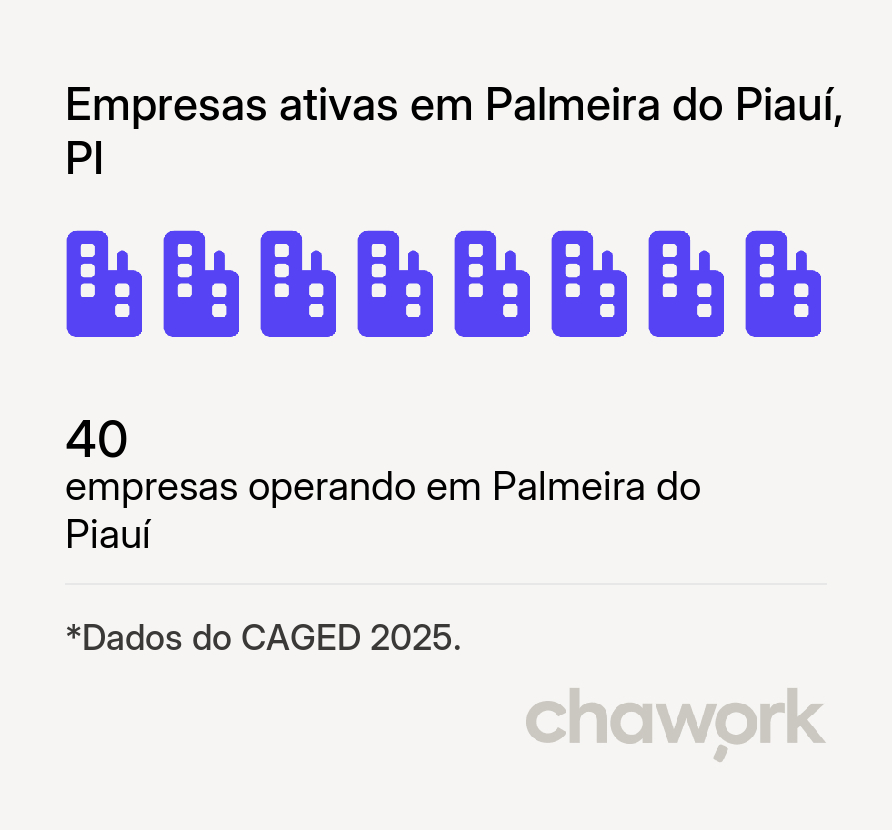 Empresas ativas em Palmeira do Piauí, PI