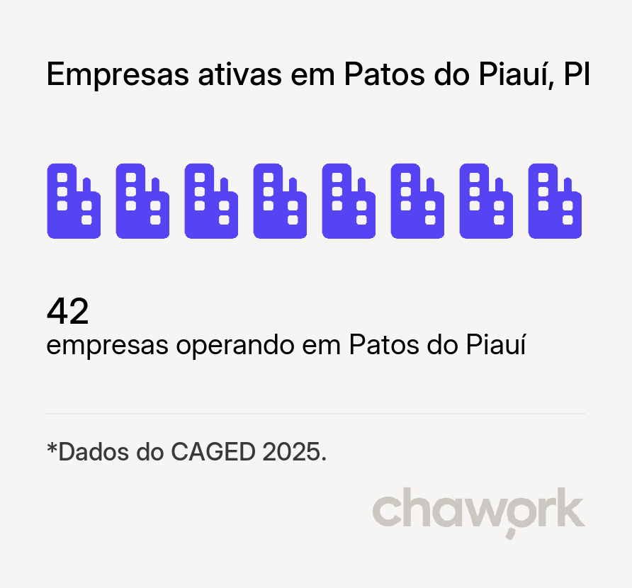 Empresas ativas em Patos do Piauí, PI