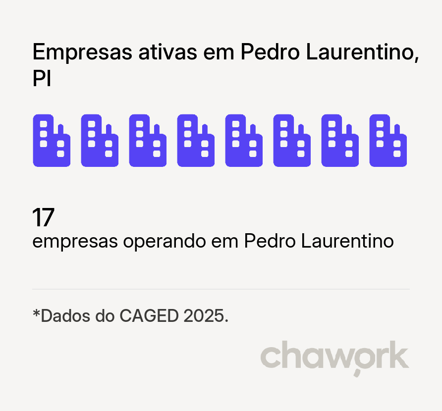 Empresas ativas em Pedro Laurentino, PI