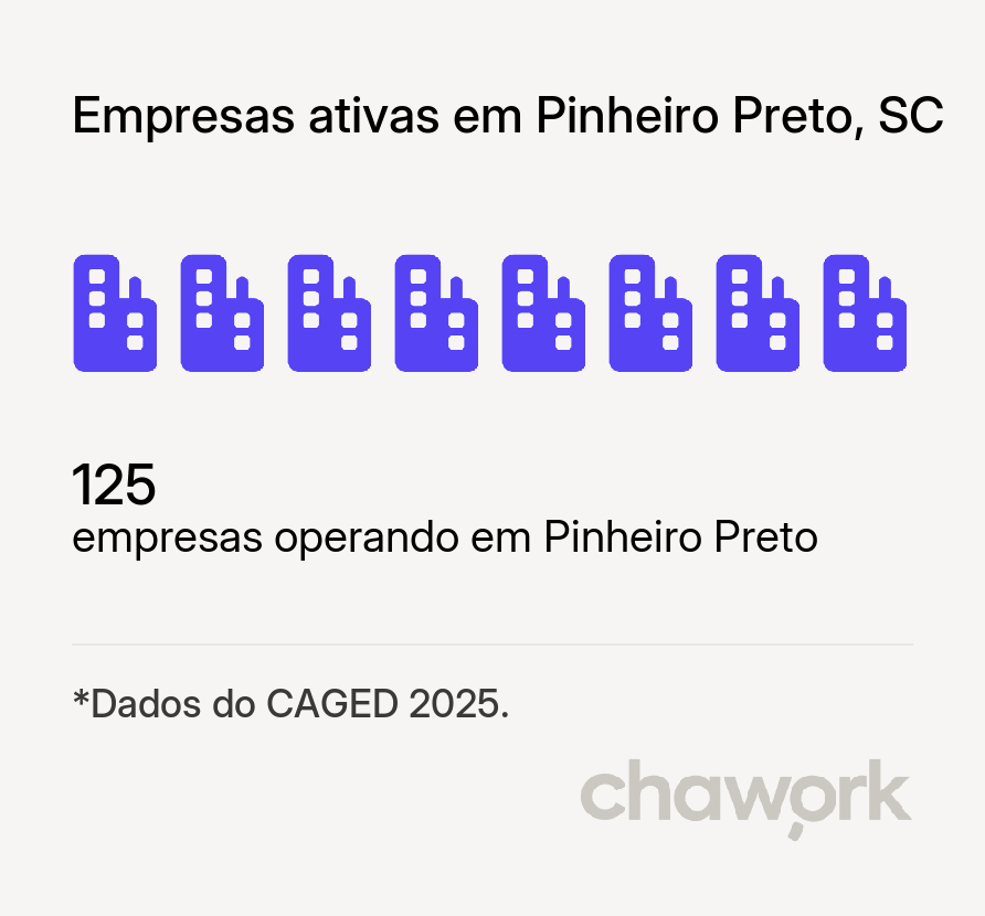 Empresas ativas em Pinheiro Preto, SC
