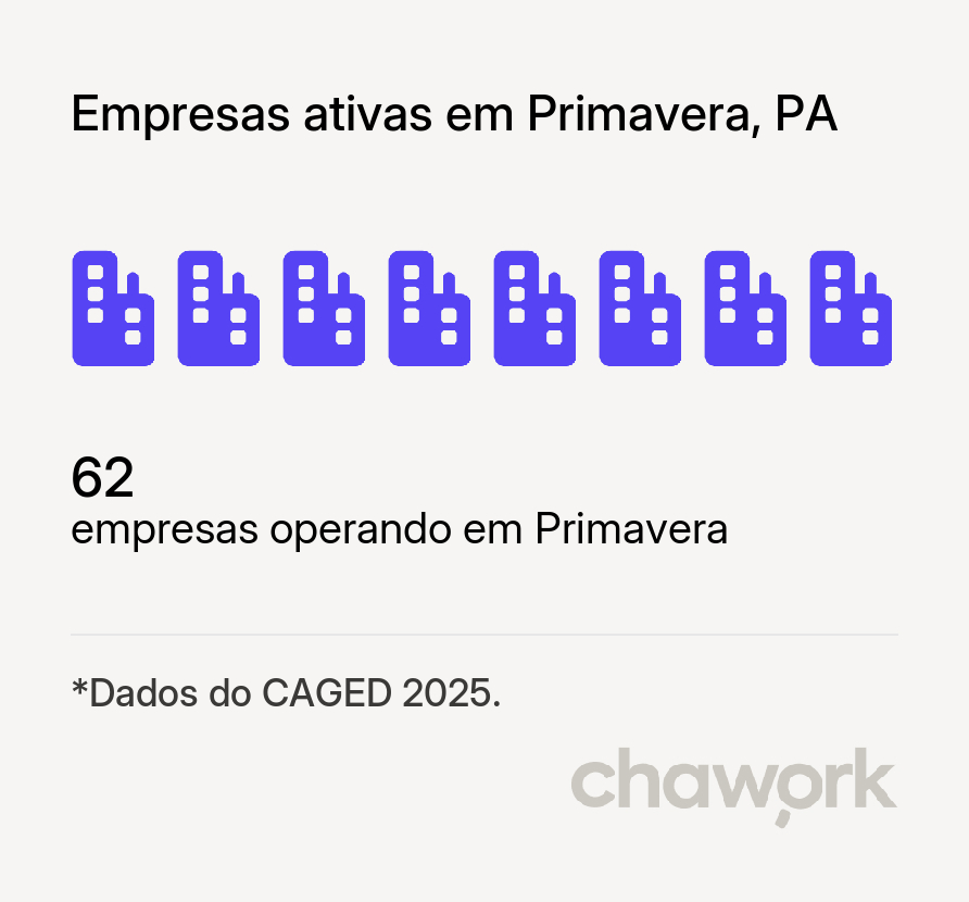 Empresas ativas em Primavera, PA