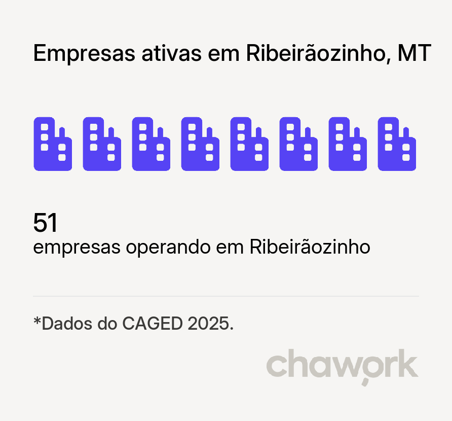 Empresas ativas em Ribeirãozinho, MT