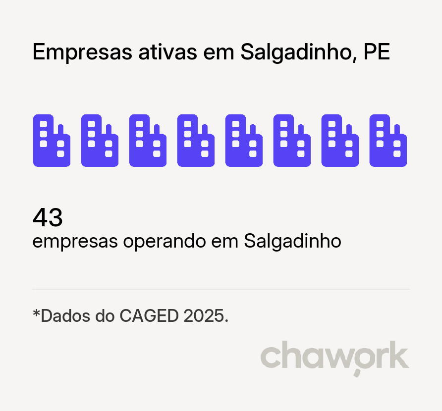 Empresas ativas em Salgadinho, PE
