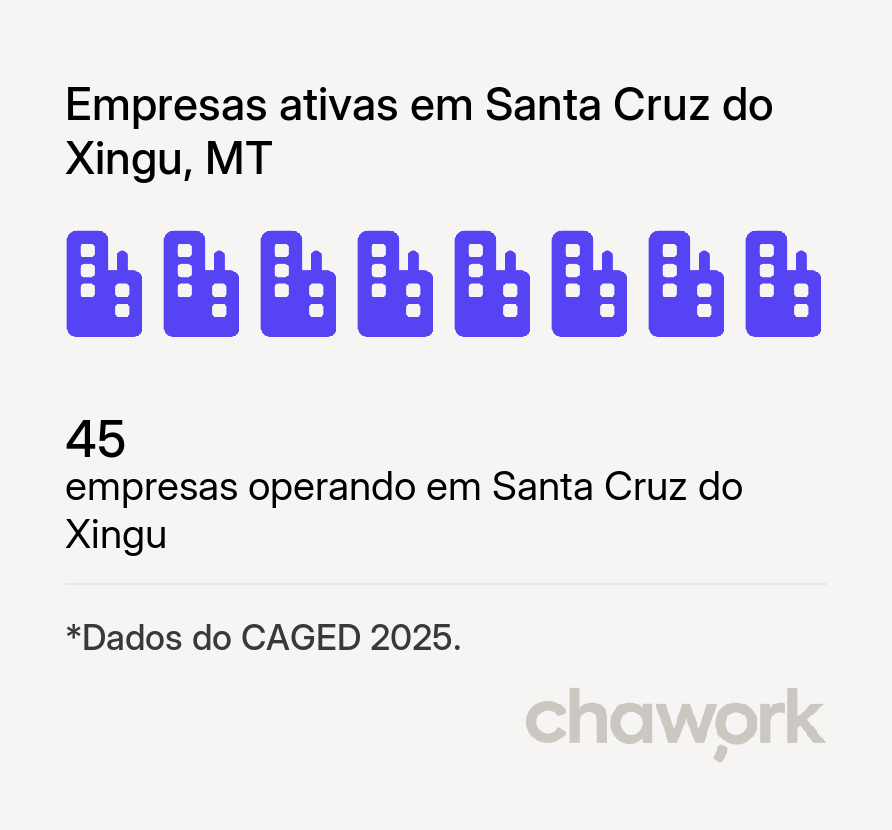 Empresas ativas em Santa Cruz do Xingu, MT