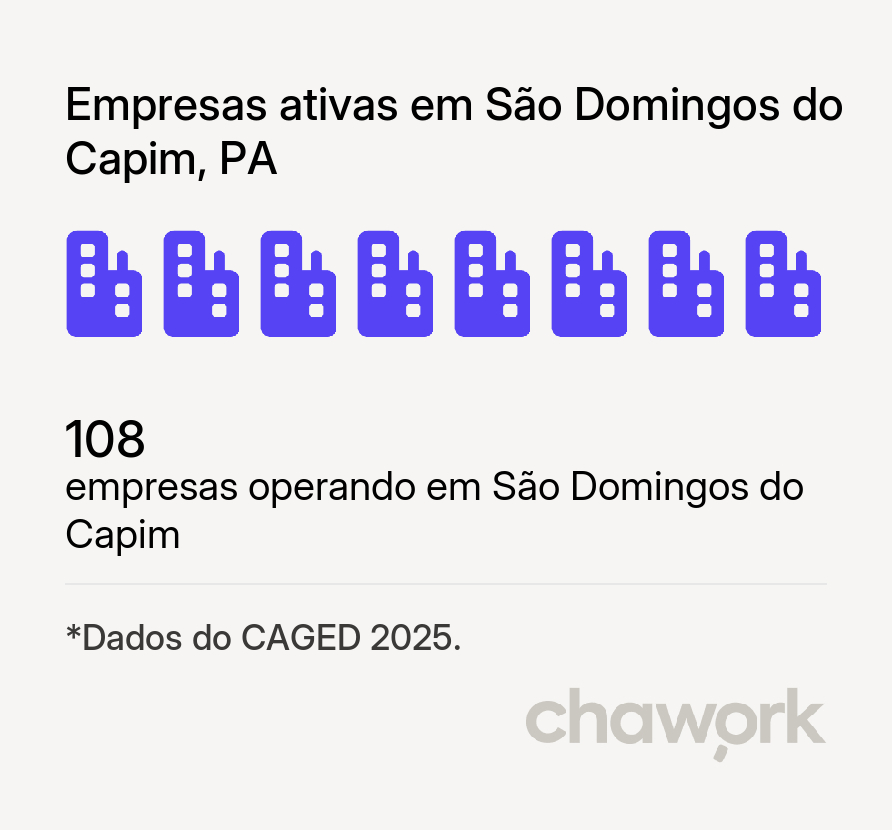 Empresas ativas em São Domingos do Capim, PA