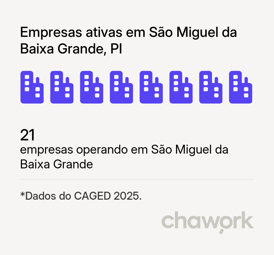 Empresas ativas em São Miguel da Baixa Grande, PI