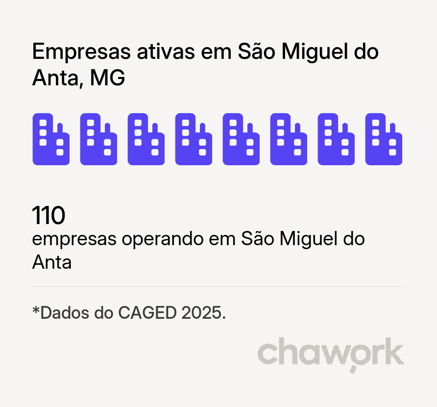 Empresas ativas em São Miguel do Anta, MG