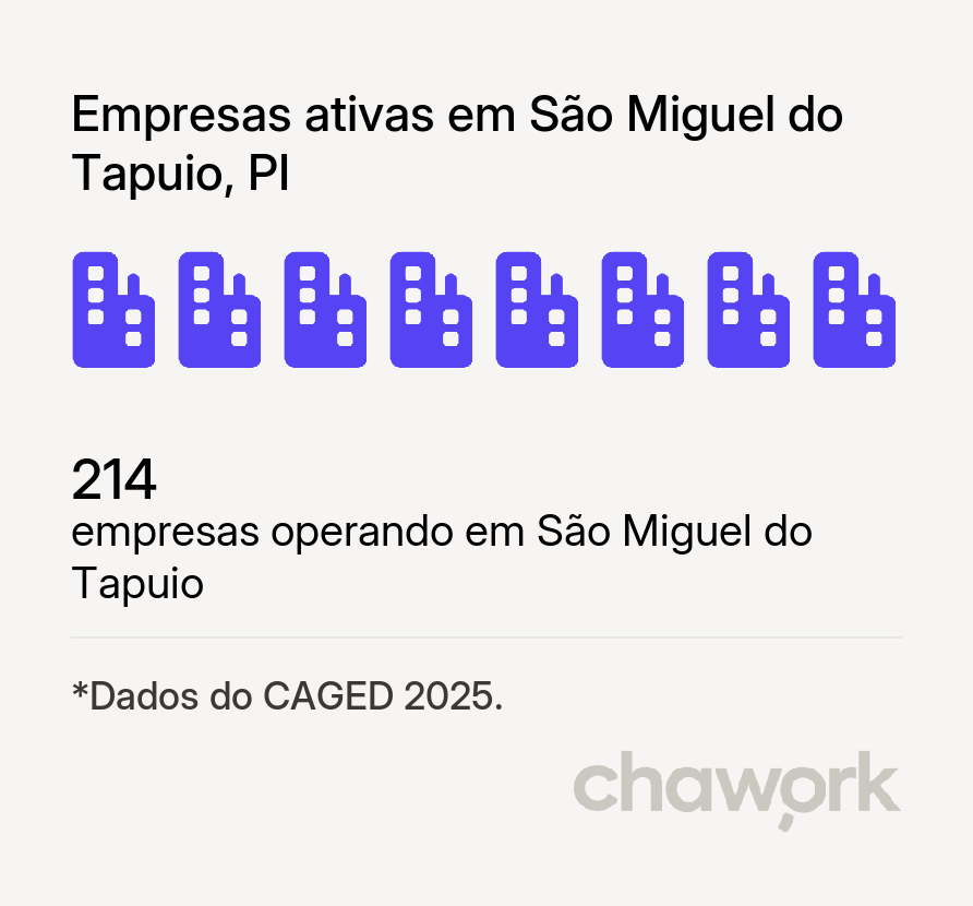 Empresas ativas em São Miguel do Tapuio, PI