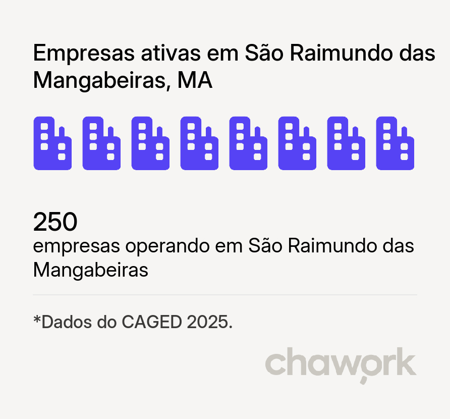 Empresas ativas em São Raimundo das Mangabeiras, MA