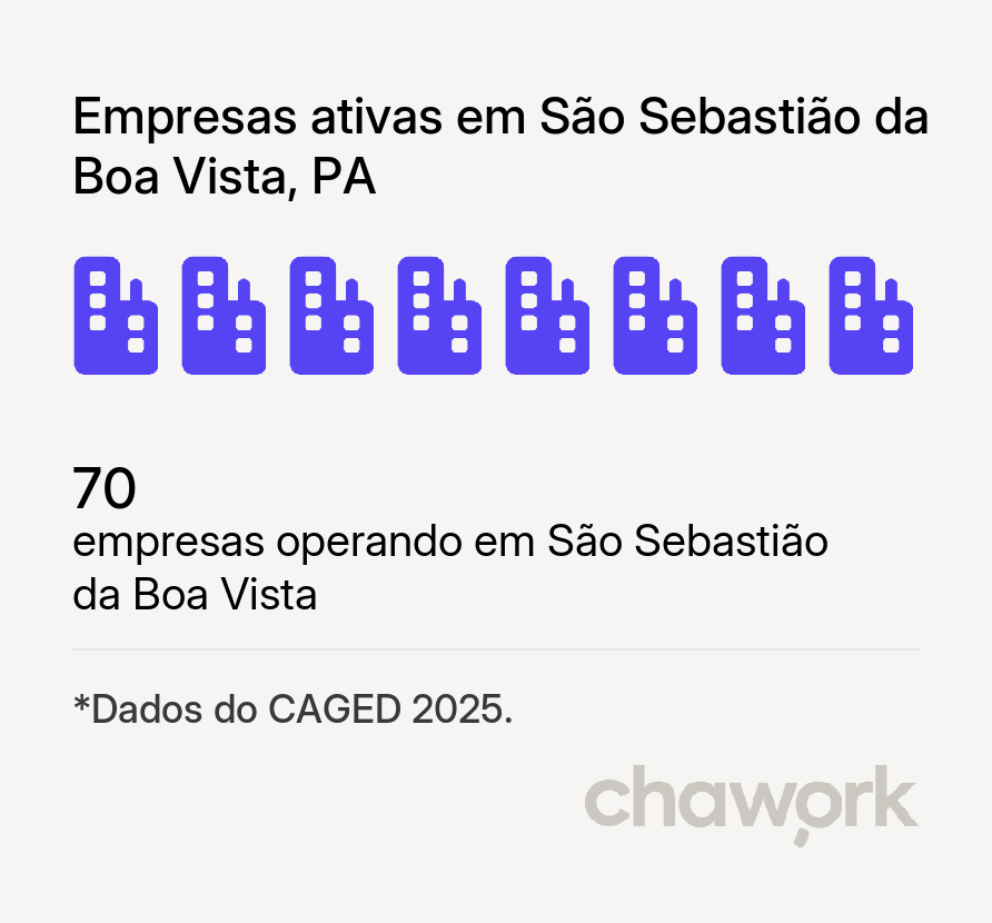 Empresas ativas em São Sebastião da Boa Vista, PA