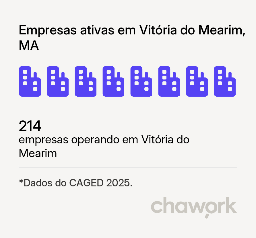 Empresas ativas em Vitória do Mearim, MA