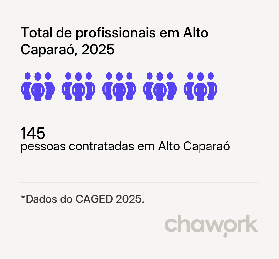 Total de profissionais contratados em Alto Caparaó, MG