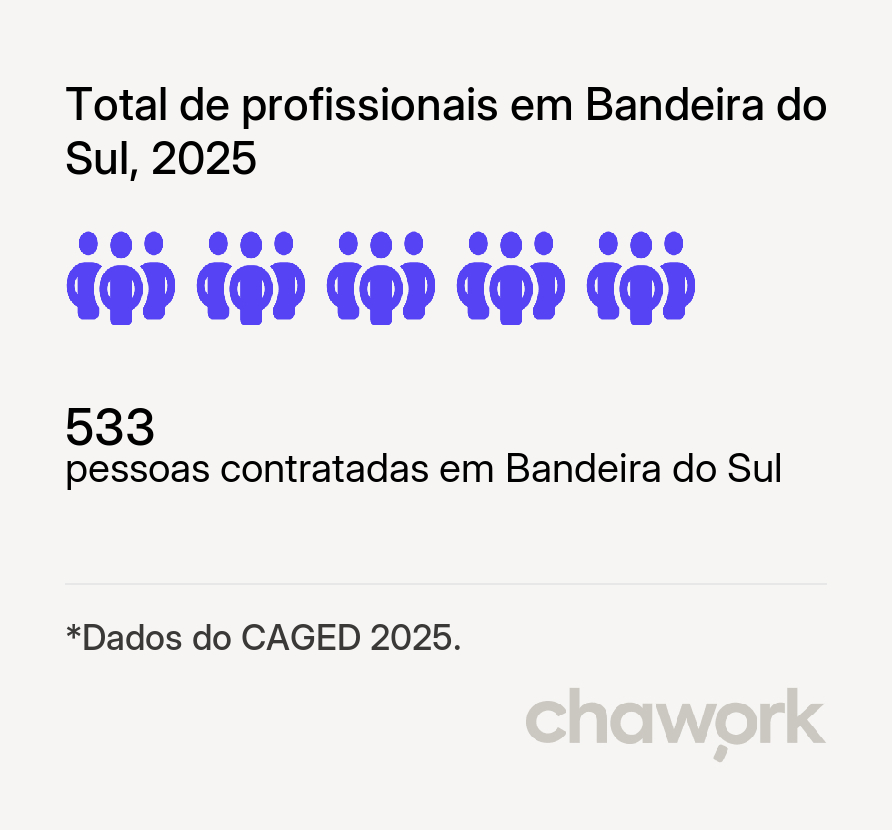 Total de profissionais contratados em Bandeira do Sul, MG