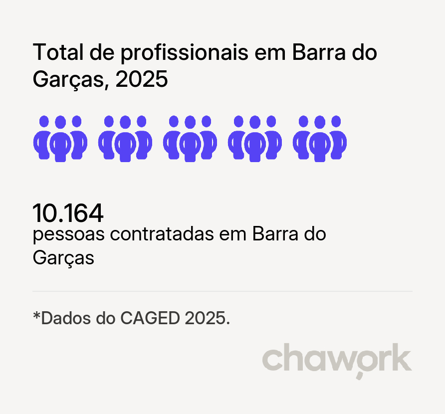Total de profissionais contratados em Barra do Garças, MT