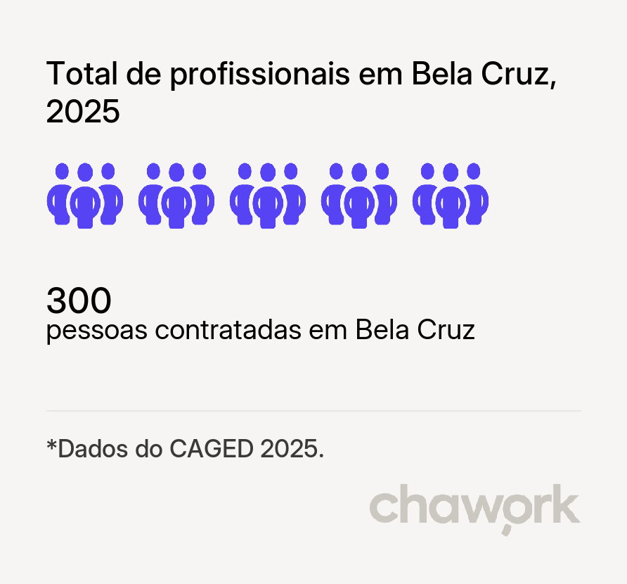 Total de profissionais contratados em Bela Cruz, CE