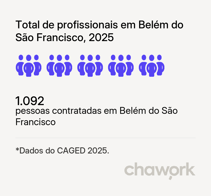 Total de profissionais contratados em Belém do São Francisco, PE