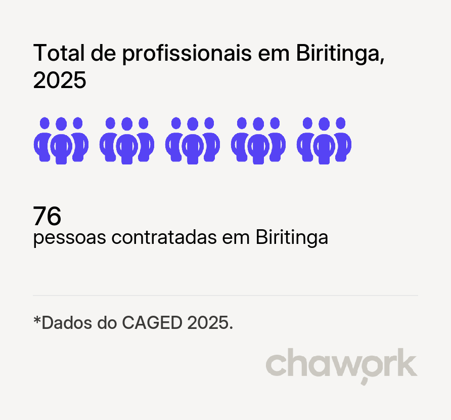 Total de profissionais contratados em Biritinga, BA