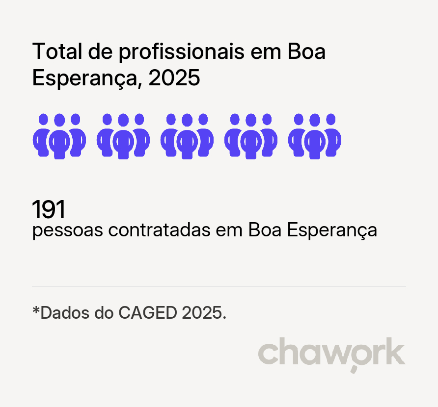 Total de profissionais contratados em Boa Esperança, MG