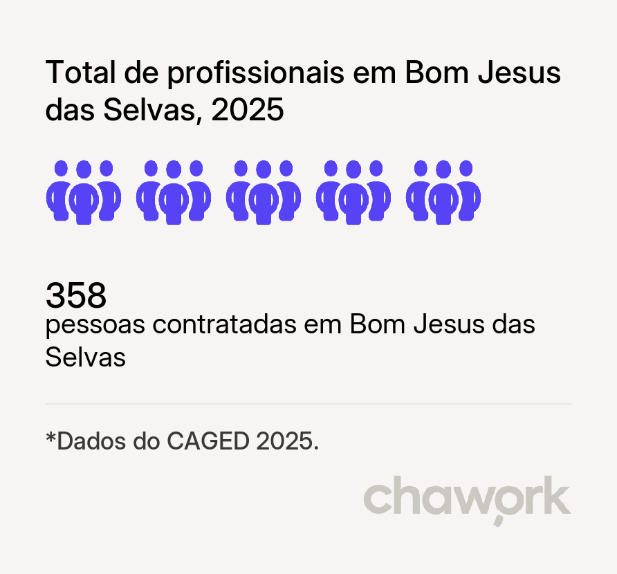Total de profissionais contratados em Bom Jesus das Selvas, MA