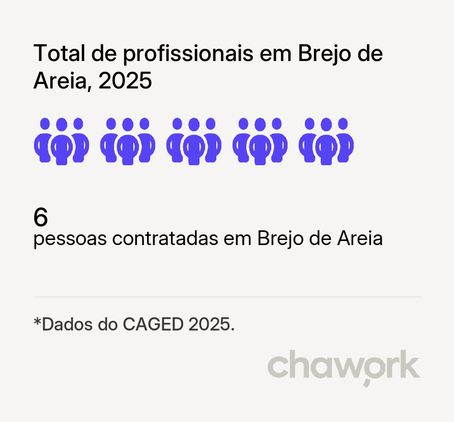 Total de profissionais contratados em Brejo de Areia, MA