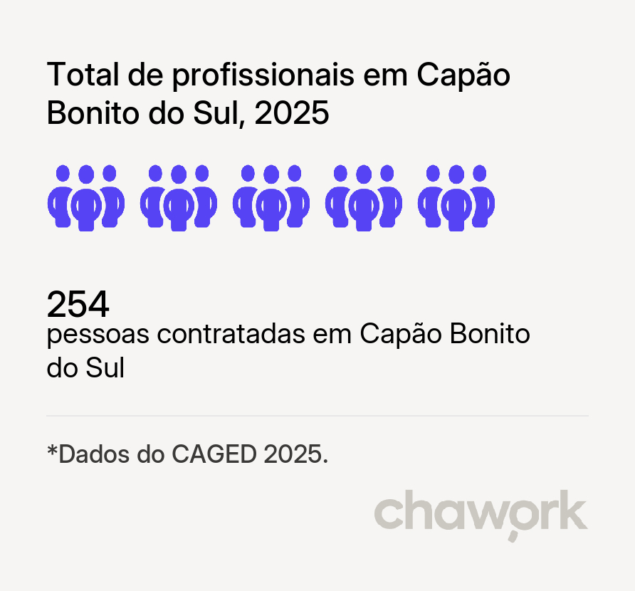 Total de profissionais contratados em Capão Bonito do Sul, RS