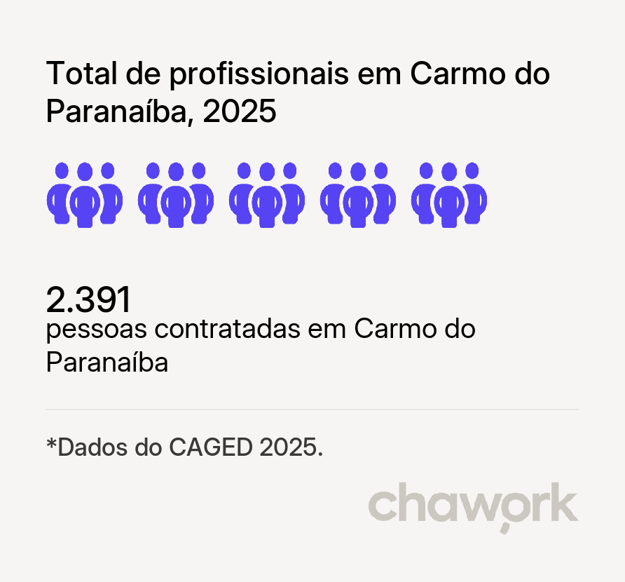 Total de profissionais contratados em Carmo do Paranaíba, MG