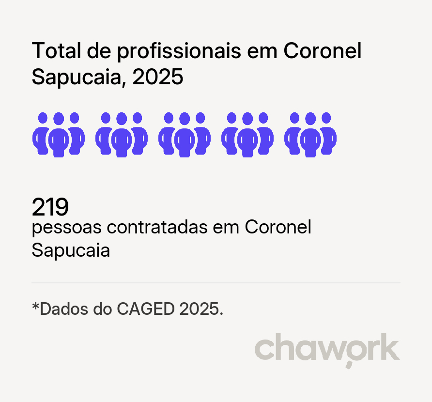 Total de profissionais contratados em Coronel Sapucaia, MS