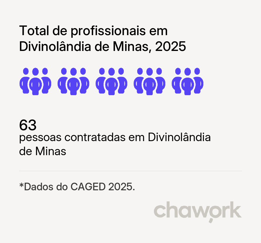 Total de profissionais contratados em Divinolândia de Minas, MG