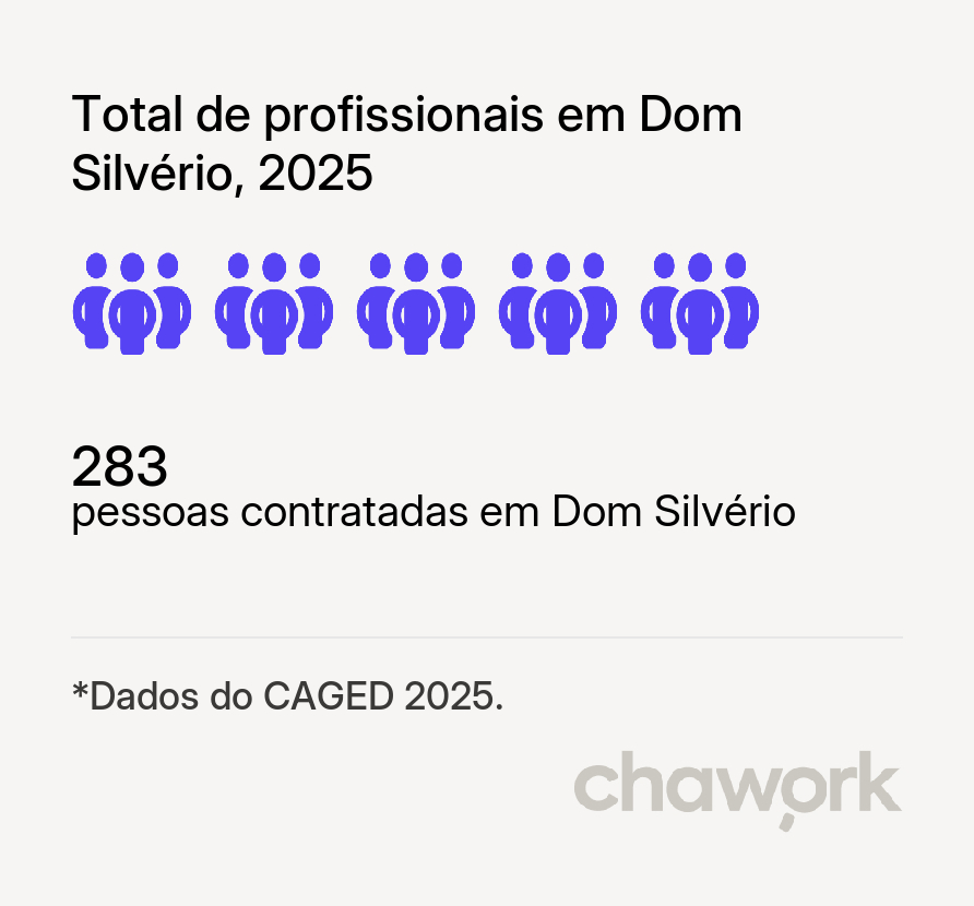 Total de profissionais contratados em Dom Silvério, MG