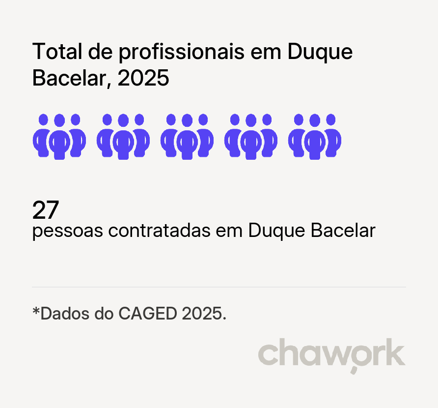 Total de profissionais contratados em Duque Bacelar, MA