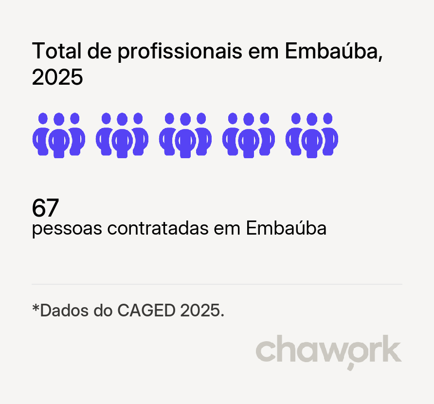 Total de profissionais contratados em Embaúba, SP
