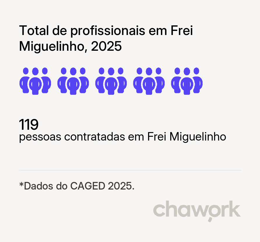 Total de profissionais contratados em Frei Miguelinho, PE